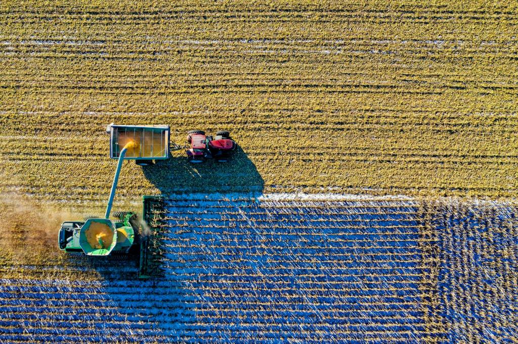 Maíz argentino: éxito competitivo que enfrenta nuevos retos&nbsp;comerciales