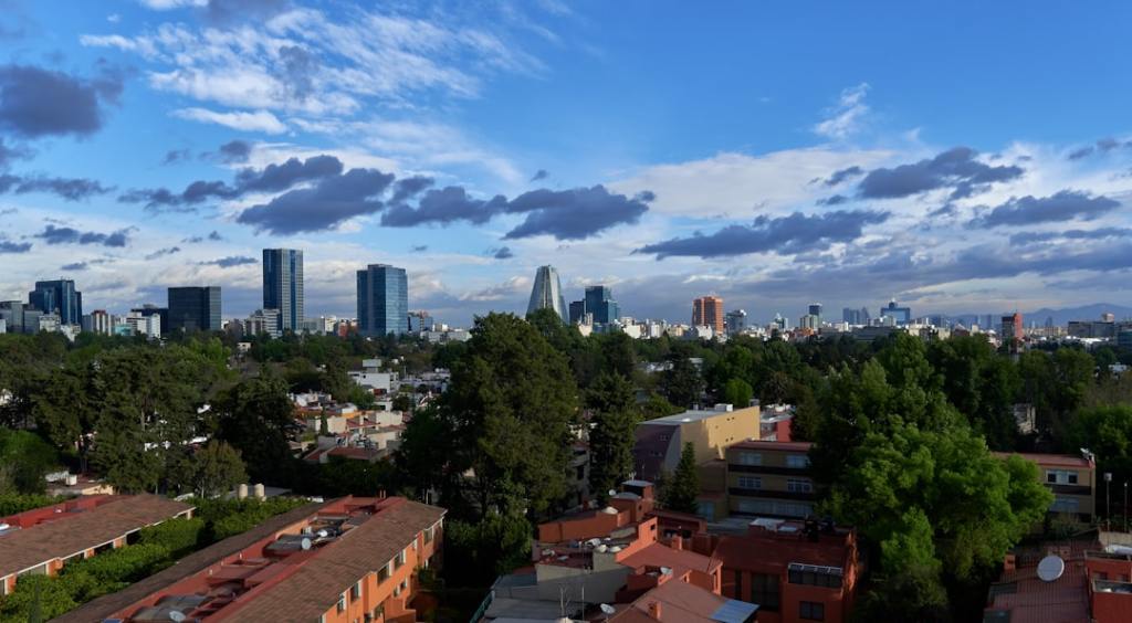 González Iñárritu llama «triunfo» a la presidencia de Sheinbaum en&nbsp;México