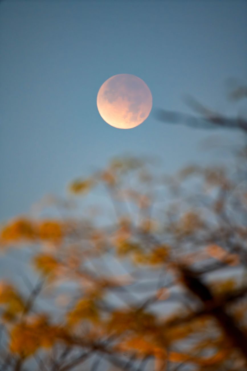 El 12 de agosto habrá eclipse solar total visible desde varios&nbsp;países