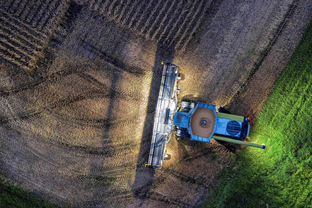 Campo argentino en expansión: exportaciones suben 128% en histórico&nbsp;crecimiento