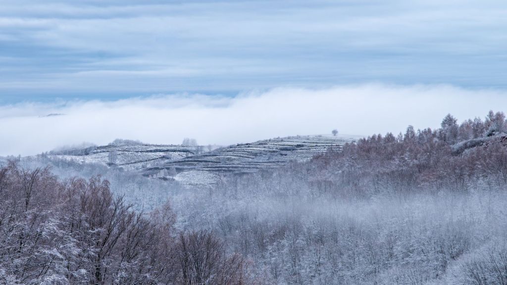 Cambios en el clima porteño: frio intenso, lloviznas y regreso del buen&nbsp;tiempo